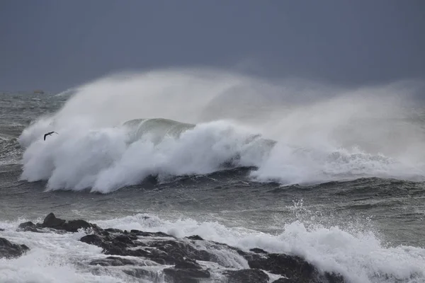 Stormiga havsvåg med spray — Stockfoto