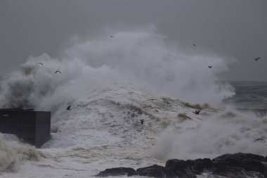 Fırtınalı dalgalar ve iskele üzerinde sıçrama