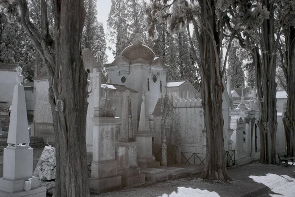 Vecchio cimitero europeo architettura — Foto Stock