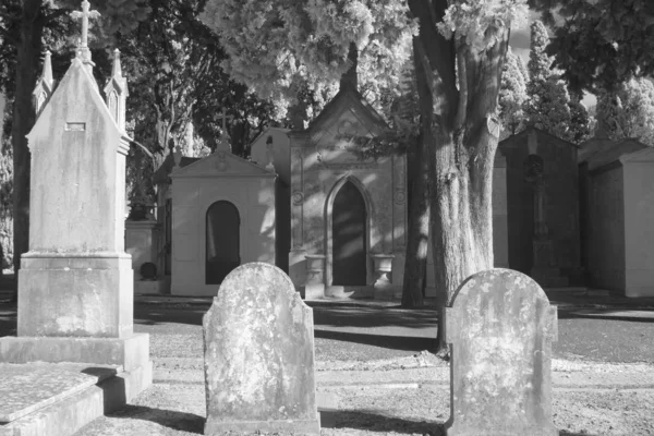 Ancien cimetière européen — Photo