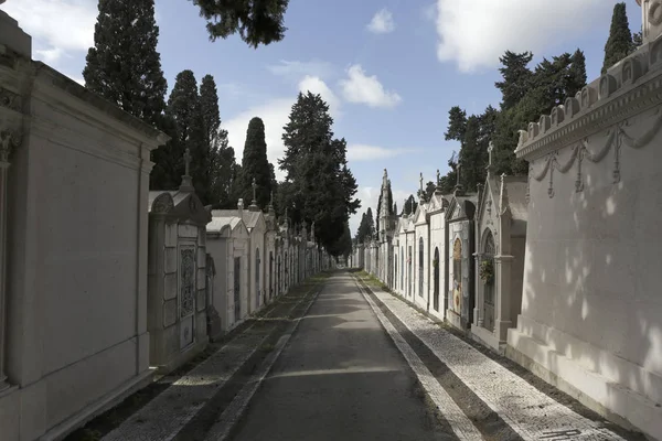 Alte Friedhofstraße — Stockfoto