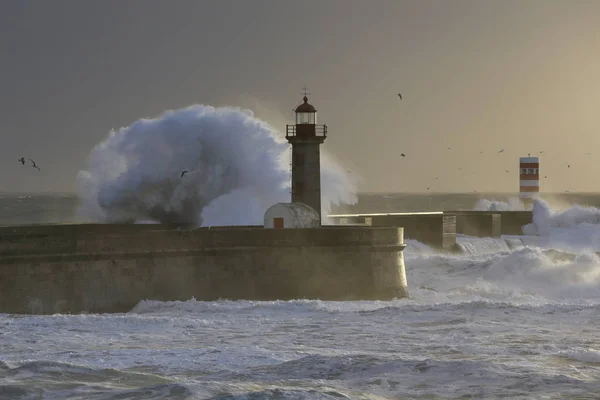 Olas tormentosas sobre muelles y faros —  Fotos de Stock