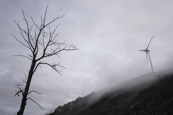 Bulutların Ortasında Bir Dağın Tepesinde Çıplak Ağaç Rüzgar Jeneratörü Görüyorum — Stok fotoğraf