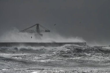 Şiddetli fırtına sırasında Leixoes 'un kuzey duvarı Portekiz' in kuzey kıyısındaki ikonik büyük vinçini görüyor..