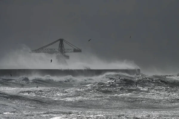 Parede Norte Porto Leixoes Durante Forte Tempestade Vendo Seu Icônico — Fotografia de Stock