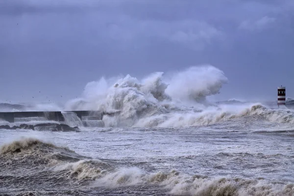 Winter dramatic sea storm at the Douro river mouth north pier.