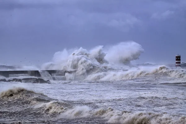 Winter Dramatische Zeestorm Bij Monding Van Douro Rivier Noordelijke Pier — Stockfoto