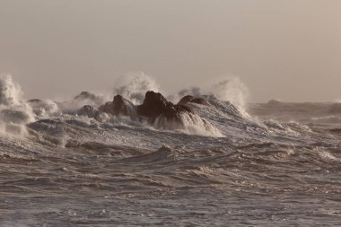 Fırtına sırasında kuzey Portekiz kayalık kıyılarından uçurumlar