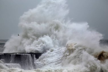 Dramatik deniz manzarası. Douro nehri, bir deniz fırtınası sırasında kuzey rıhtımında dolanıyor..