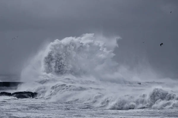 Dramatiskt Kustlandskap Douro Flodmynning Norr Pirar Storm Omvandlat Svart Och — Stockfoto