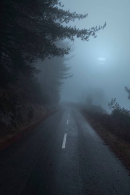 Dolunay gecesi sisli bir yolda ilk dağ yolu