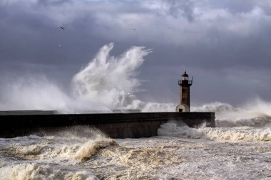 Douro Nehri ağzında deniz fırtınası, Porto, Portekiz