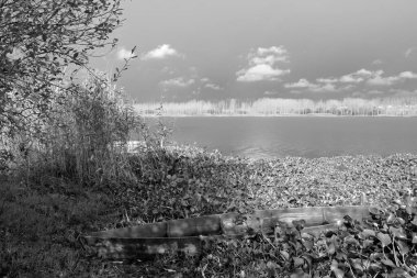 Yağmurdan önce Pateira de Fermentelos ön planda geleneksel ahşap bir tekne gördü. Portekiz 'in ortasındaki bu göl genellikle vahşi ördek ve balık açısından zengindir..