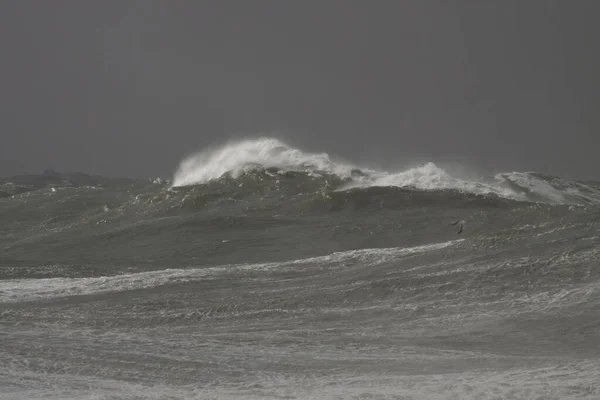 Paysage Marin Hiver Avec Énormes Vagues Atlantique Côte Nord Portugaise — Photo