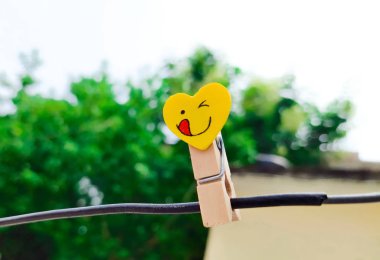 Bulanık doğa arkaplanı, üst görünüm üzerine ahşap duygu simgesi ataçları