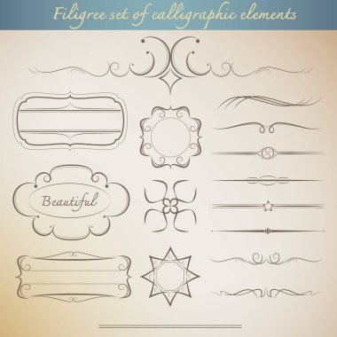 Vintage tasarım için kaligrafik elemanların telilik seti. güzellik