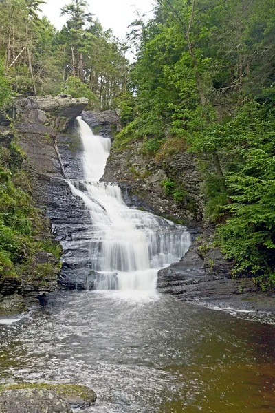 Tall waterfall in Pennsylvania in summer with silky flowing water.