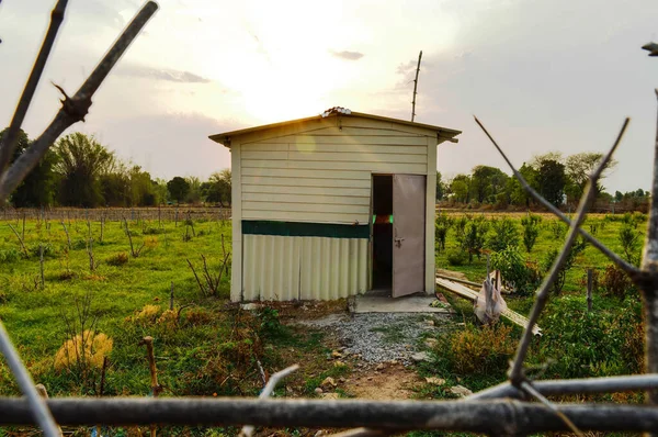 Hindistan köyünde güzel bir kır evi, nar tarlası ve elma tesisatı manzarası..