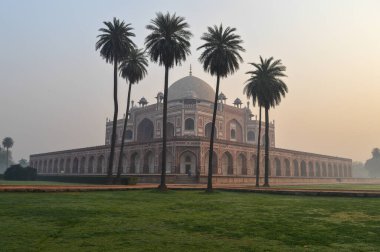 Bir sürü palmiye ağacı ve Humayun türbesi anıtı kışın sisli sabahında çimlerin kenarından büyüleyici bir manzara..