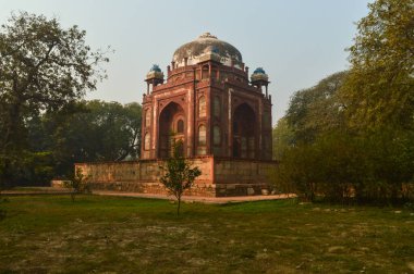 Ağaçlar ve Humayun Mezarlığı 'nın büyüleyici manzarası. Kış sisli sabahında çimlerin kenarından..