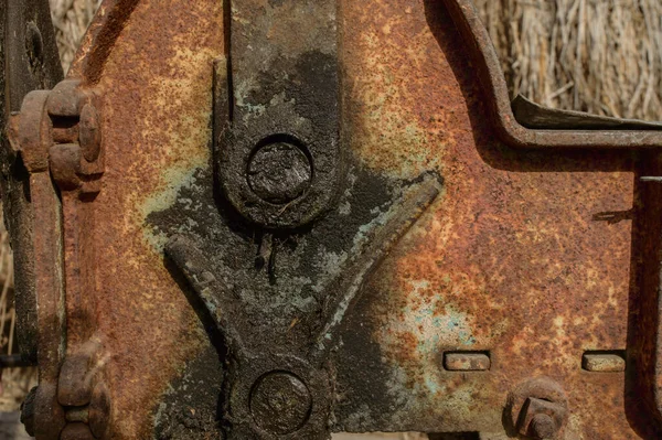 Hint ineği için çim biçme makinesinin mikro görüntüsü..
