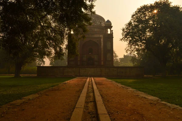 Bunch Trees Mesmerizing View Humayun Tomb Memorial Side Lawn Winter — Stock Photo, Image