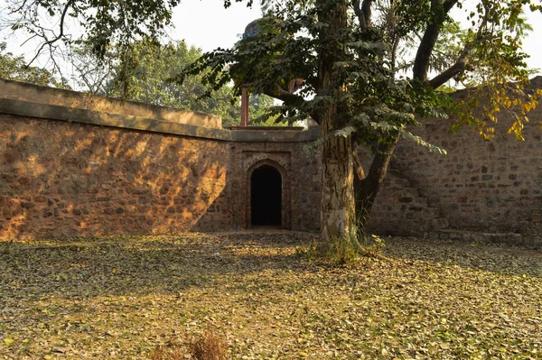 Monument Humayun Tombe Mémorial Côté Pelouse Hiver Matin Brumeux — Photo