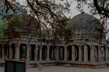 Ağaç dalları, sisli bir kış sabahı çimlerin kenarından Hauz Khas Anıtı 'nın dramatik manzarasını yaratıyor..