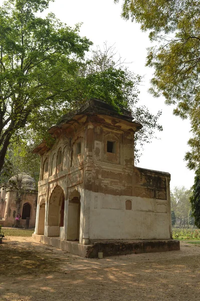 Lodi Garden 'daki Şiş Gumbad Anıtı' nın büyüleyici manzarası ya da sisli bir kış sabahı çimenliğin kenarındaki şehir parkındaki pansiyon bahçeleri..