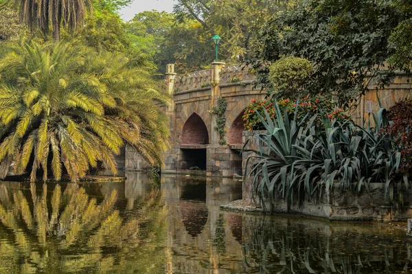 Gölün kenarından yansıyan ve büyüleyici bir manzara, palmiye ağaçları gölü ve Lodi Garden 'daki köprü anıtı ya da sisli bir kış sabahı şehir parkındaki pansiyon bahçeleri..