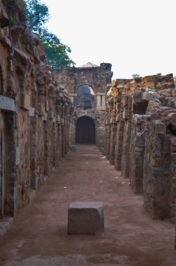 Güneş çarpıcı bir kale manzarası yaratır, sisli bir kış sabahı çimlerin kenarından Hauz Khas Anıtı 'nda anılır..