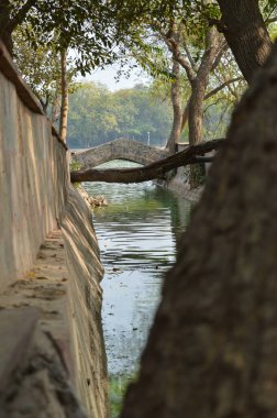 Hauz Khas Gölü 'nün büyüleyici manzarası ve Hauz Khas Kalesi' nden gelen bahçe sisli bir kış sabahı..