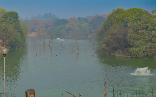Hauz Khas Gölü 'nün büyüleyici manzarası ve Hauz Khas Kalesi' nden gelen bahçe sisli bir kış sabahı..