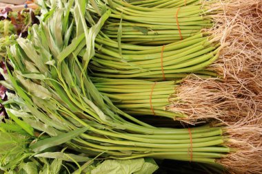 Yeşil sabah markette yemek pişirmek için zafer