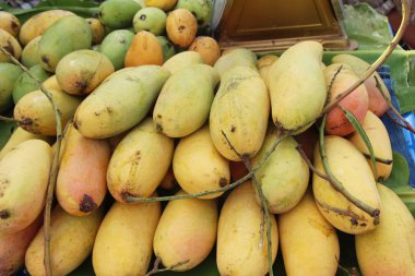 Sokak gıda lezzetli meyve olgun mango