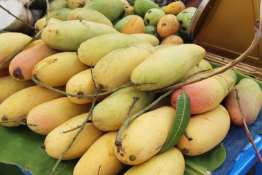 Sokak gıda lezzetli meyve olgun mango