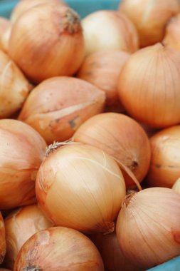 Soğan ve arpacık markette yemek pişirmek için