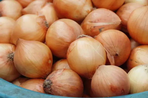 Cebollas Chalotes Para Cocinar Mercado — Foto de Stock