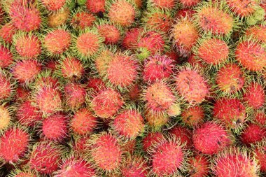 Tatlı meyve lezzetli rambutan içinde belgili tanımlık çarşı