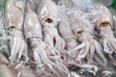 Sokak gıda yemek pişirmek için taze kalamar