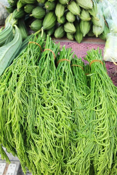 Acacia Pennata Voor Het Koken Straat Eten — Stockfoto