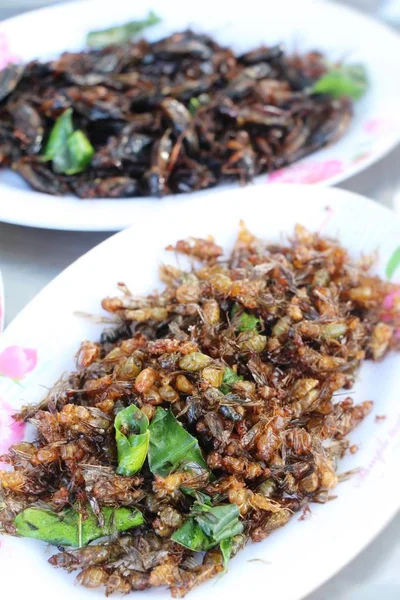 Gebakken Insecten Heerlijk Straat Eten — Stockfoto