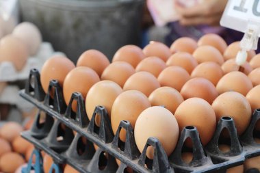 Piyasada panelinde yumurta