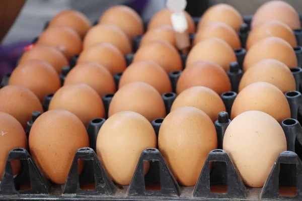 Piyasada panelinde yumurta