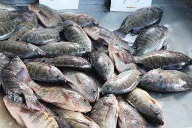 Taze balık sokak gıda yemek pişirmek için