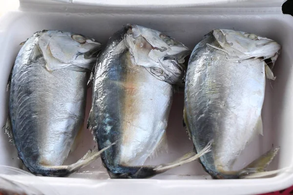 Sokak gıda lezzetli haşlanmış uskumru balığı