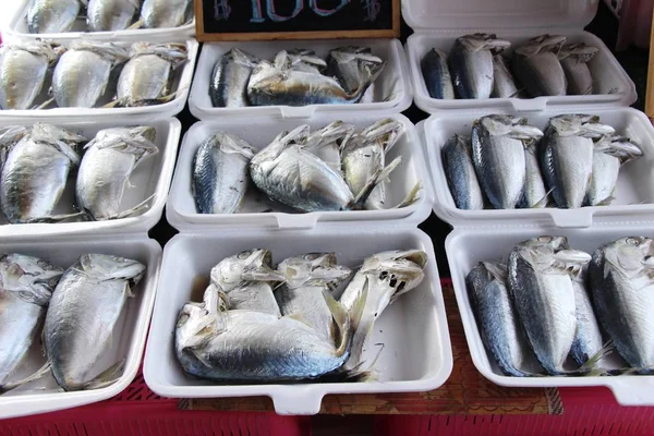 Mackerel Fish Steamed Delicious Street Food — Stock Photo, Image