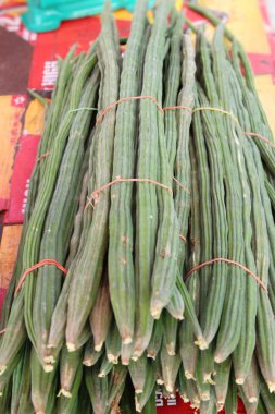 Moringa oleifera veya baget sebze