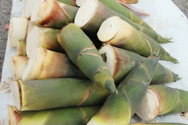 Süße Bambussprossen Zum Kochen Auf Dem Markt — Stockfoto