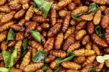 Fried ipek solucanlar sokak gıda lezzetli